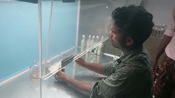 HANDS ON TRAINING MUSHROOM  🍄 SPAWN PRODUCTION