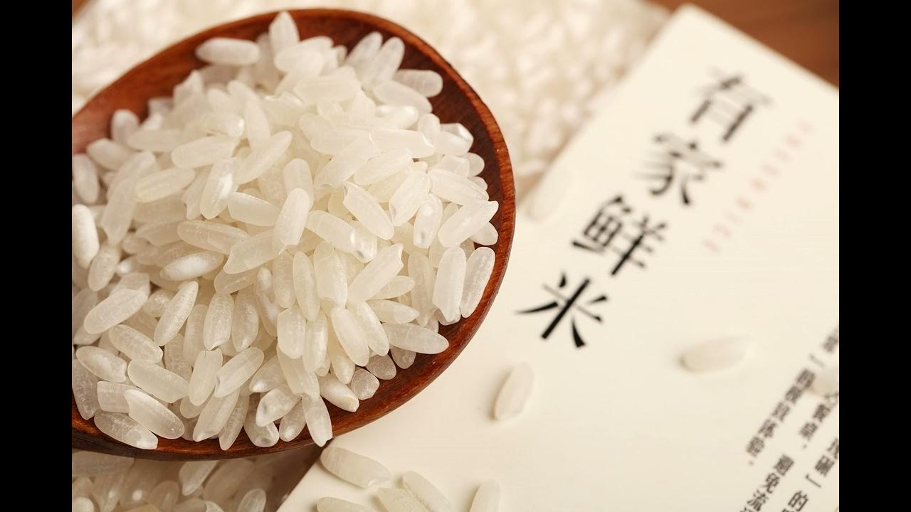 Китайские сорта риса. Рис в китае. Горсть риса. Японский рис. Рис в японии.