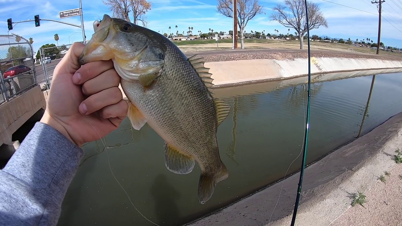 Canal/Pond Fishing (Phoenix Arizona) - YouTube
