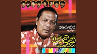 Nima Nowana (SUNFLOWER)