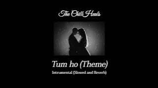 Tum Ho (Theme) Instrumental (Slowed and Reverb) | Rockstar | Headphones Reccomended