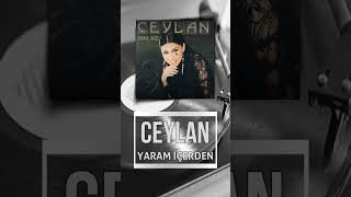 Ceylan - Yaram İçerden #shorts Resimi