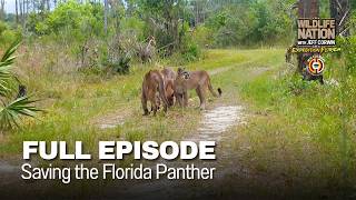 Famous Saving the Florida Panther - FULL EPISODE | S2 Wealth