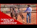 Clinton Anderson - Outback Adventure 9 of 14