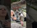 Human Fountains — Who did it better?
