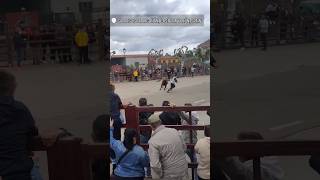 Salida Toro Bravo Miranda De Pericalvo Gallegos De Argañan #Shorts