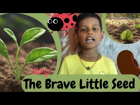 The Brave Little Seed Story In English | Moral Bedtime Stories For Kids ...