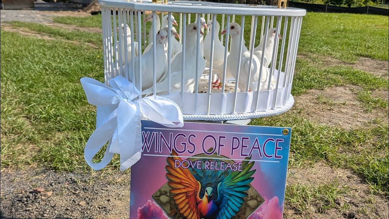 Re-Release+ Basket addition - YouTube