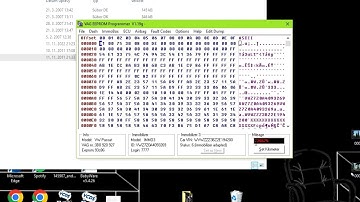 VAG EEPROM Programmer V1.19g install /read login/