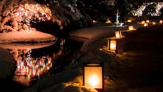Stars in the Gardens Christmas Walk Dow Gardens Midland MI