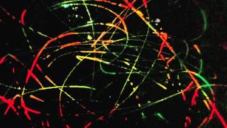 Beat Spacek - 'I Wanna Know' (Seven Davis Jr Midnight Remix)
