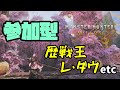 【MHWs】お久しぶりですの配信 参加型 【Monster Hunter Wilds】(ネタバレあり)