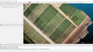 Famous Creating a Canopy Height Model (CHM) and getting plant heights using CloudCompare [Part 1/2] Profile