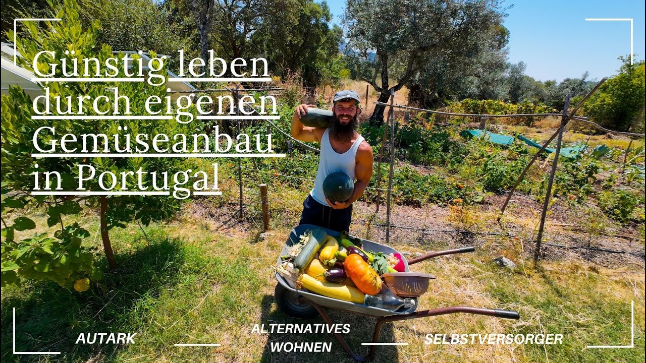 Aktuell brauchen wir wenig Geld // Unser Gemüsegarten in Zentralportugal