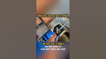 Hệ lọc thô 3 ngăn, hồ cá koi 4 khối #hocakoi #hokoi #short #shorts