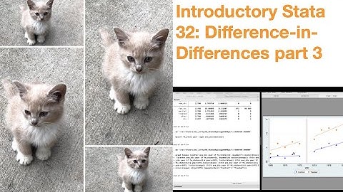 Introductory Stata 32: DID Parallel Trend Assumption