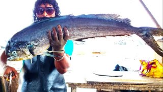 Cutting Huge Mahi Fish | Fish Cutting Skills Sri lanka