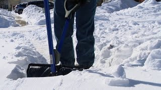 Snow Buddies Indy needs volunteers after winter storm