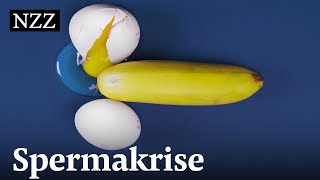 Spermakrise: Wie Chemikalien Männer unfruchtbar machen. screenshot 5