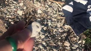 Hagstone
