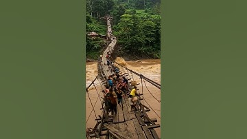 Jembatan Ambruk Saat Dipenuhi Warga! Detik-Detik Mengerikan Terekam Kamera 😨🌊