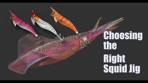 Choosing the Right Squid Jig