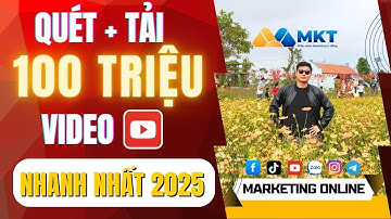 Tool Tải Video Youtube Hàng Loạt | Cách Tải Video Trên Youtube Về Máy Tính