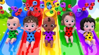 Color Ball Slide Playground | Bingo & This Is The Way | Nursery Rhymes & Kids Songs | Kindergarten