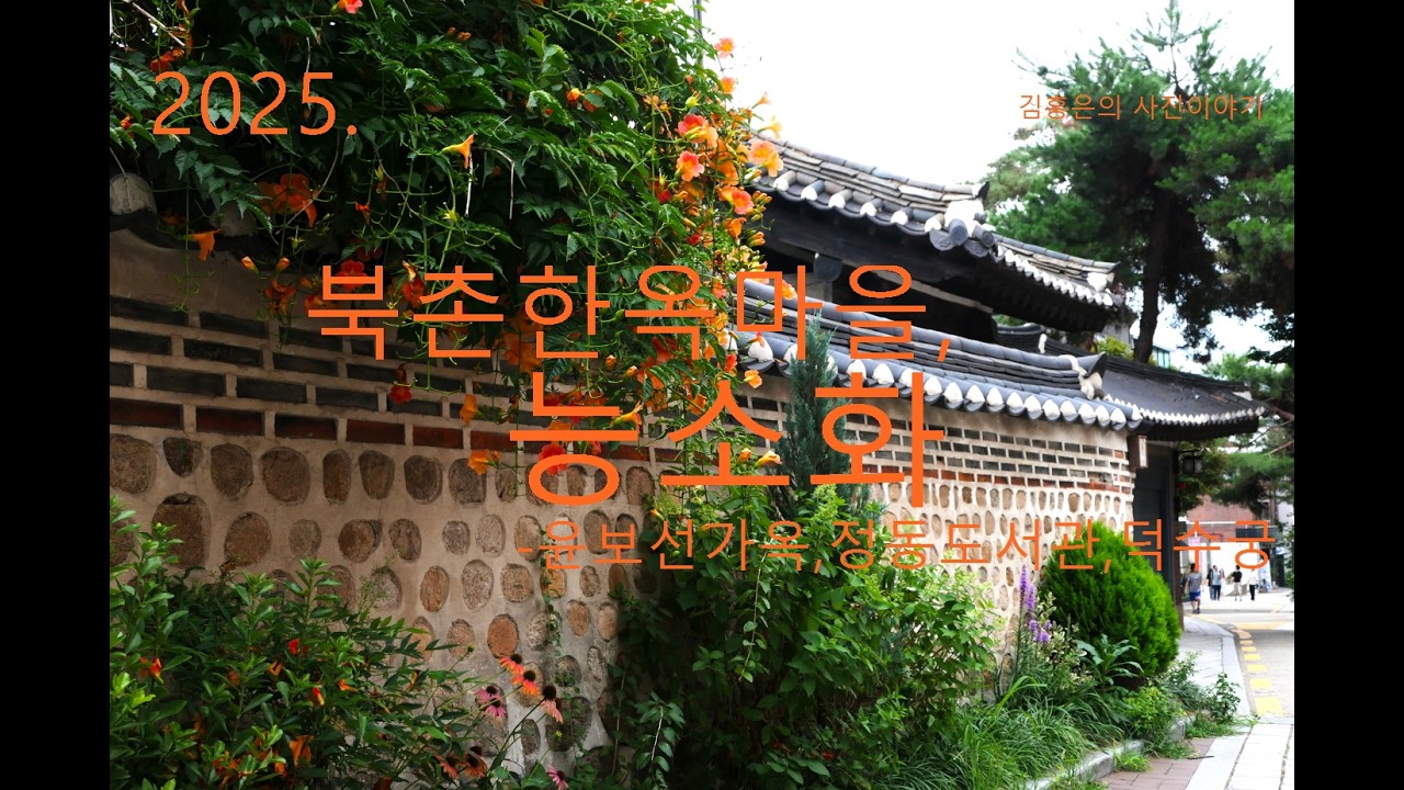 2025. 북촌한옥마을, 능소화- 윤보선가옥. 정독도서관. 덕수궁