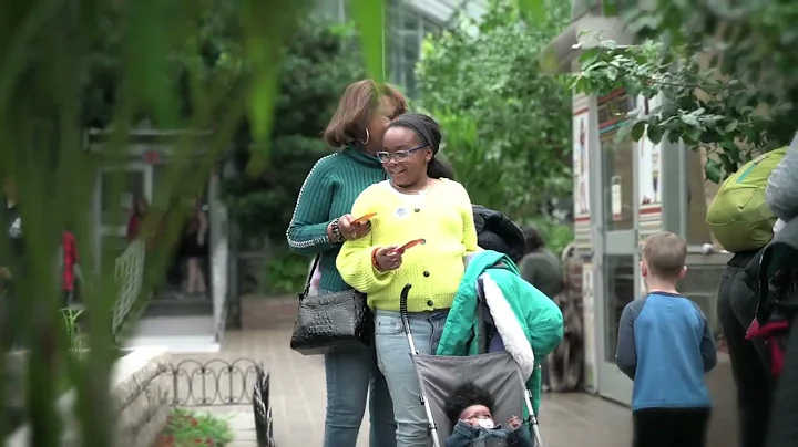 Butterflies of the Nile at Krohn Conservatory! | #CincyParks