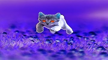 BAD KITTY!!! | CASE Animatronics part 3