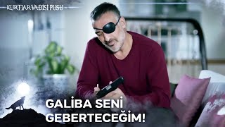 Poyraz, Baronu Yemledi Kurtlar Vadisi Pusu 202. Bölüm