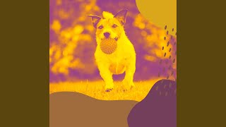 Fiery Dogs