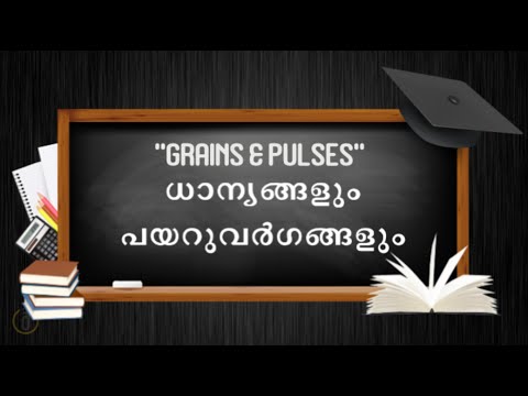 GRAINS & PULSES | ധാന്യങ്ങളും പയറുവർഗങ്ങളും | Learn Malayalam