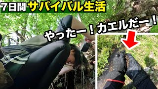 【サバイバル生活#11】空腹…過酷なサバイバル、カエルをGETして大喜びする女、まさかの結果に…【6日目】