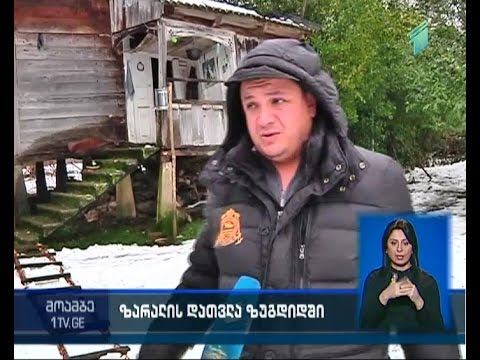 ზუგდიდში დიდთოვლობით გამოწვეულ ზარალს ითვლიან