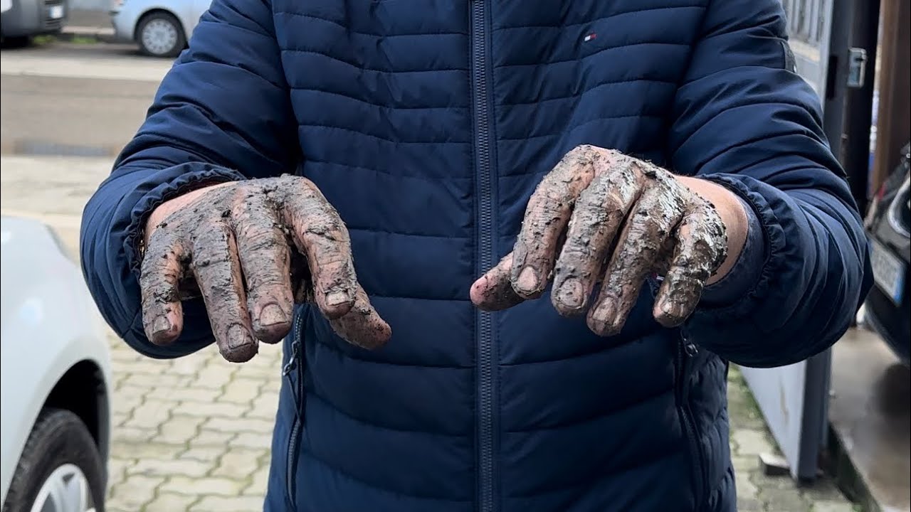 Il Segreto Nascosto in Ogni Auto: Lavandini Incogniti! 