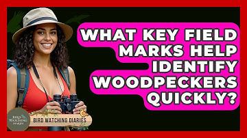 What Key Field Marks Help Identify Woodpeckers Quickly? - Bird Watching Diaries