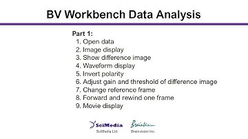 Data Analysis using BV Workbench - 1. Basic operation