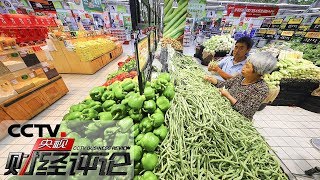 《央视财经评论》CPI创年内新高 经济走势怎么看？20190809 | CCTV财经
