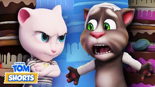 Confrontos Entre Amigos! 😂💥 Talking Tom Curtas | Coletânea De Animações