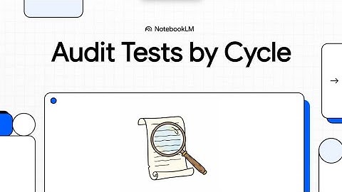 Financial Audit Course (4/5): The Auditor