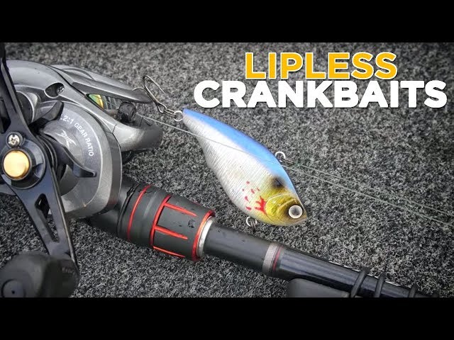 Lipless Crankbait Fishing Tips From LakeForkGuy 