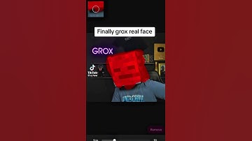 I found grox real face