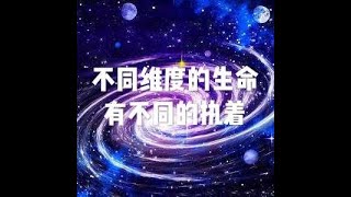 201509 不同维度的生命有不同的执着21572