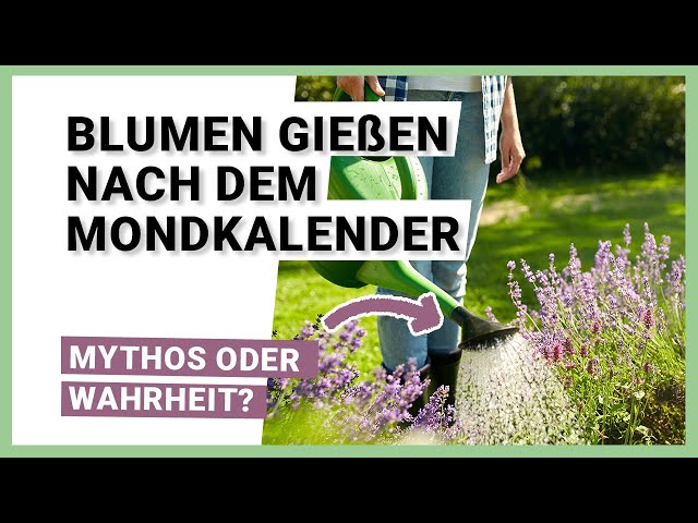 Blumen gieen nach dem Mondkalender - Ist tatschlich was dran? - YouTube