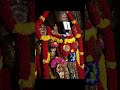 Venkateswara suprabhatam #trupati #venkateswara #govinda #govindanamam #mahadiv #trending #ytshorts