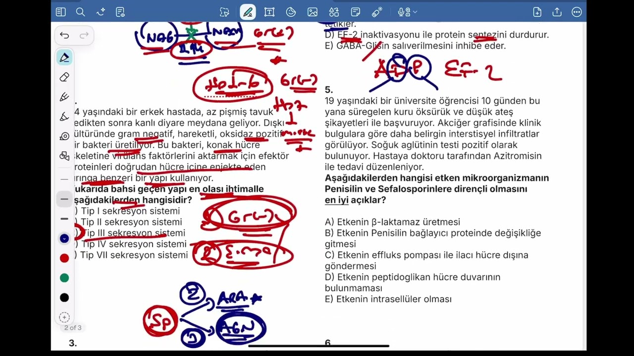 3. MİKRO-ON DENEME SINAVI - 3