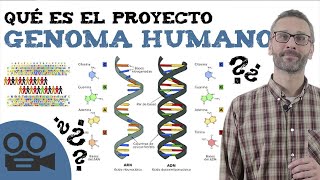 Qué es el proyecto genoma humano - YouTube