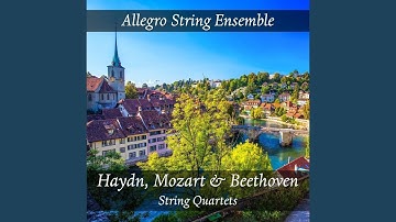 String Quartet No. 22 in B-Flat Major, K.589 "Second Prussian Quartet": 1. Allegro